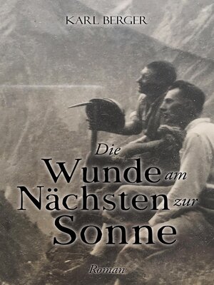 cover image of Die Wunde am Nächsten zur Sonne